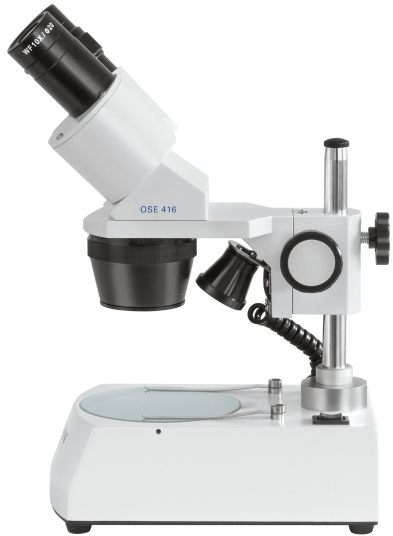 Forever Life Science